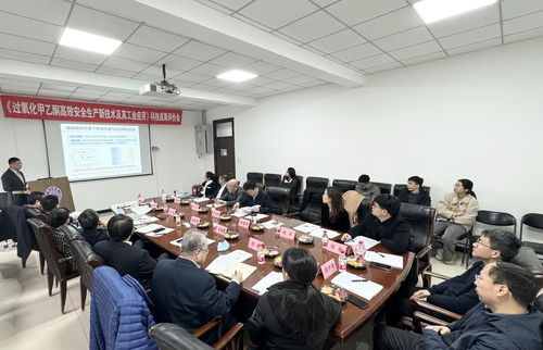 過氧化甲乙酮高效安全生產新技術及應用通過評價 新材料技術開發服務的重大突破